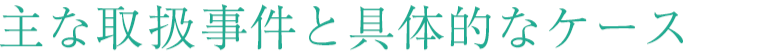 主な取り扱い事件と具体的なケース